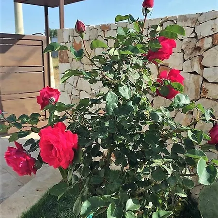 Poggio Angica Villa Porto Cesareo