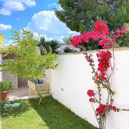 Poggio Angica